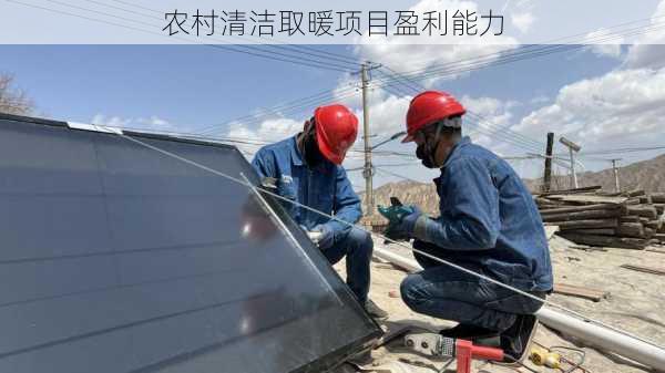农村清洁取暖项目盈利能力