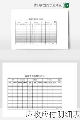 应收应付明细表