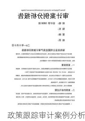 政策跟踪审计案例分析