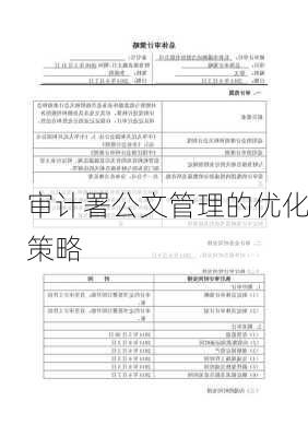 审计署公文管理的优化策略