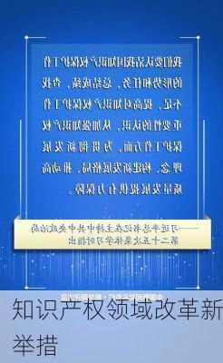 知识产权领域改革新举措