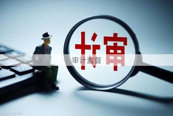 审计监督