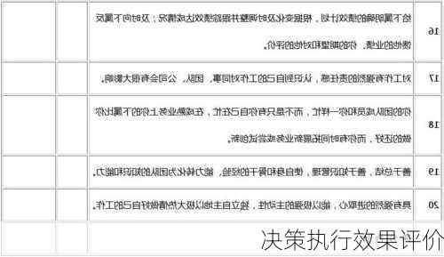 决策执行效果评价