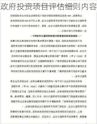 政府投资项目评估细则内容