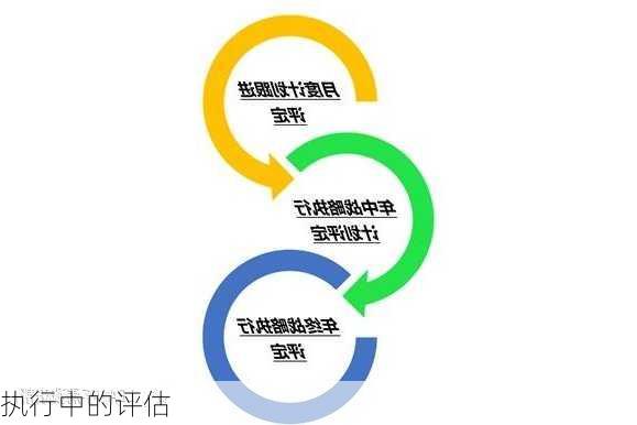执行中的评估