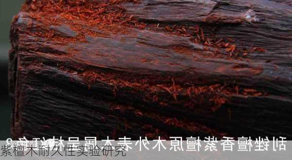 紫檀木耐久性实验研究