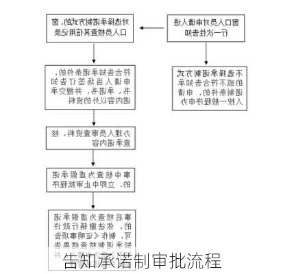 告知承诺制审批流程