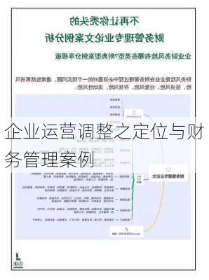 企业运营调整之定位与财务管理案例