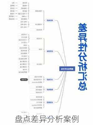 盘点差异分析案例