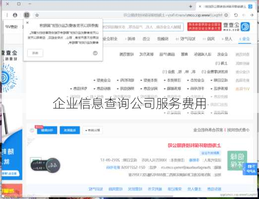 企业信息查询公司服务费用
