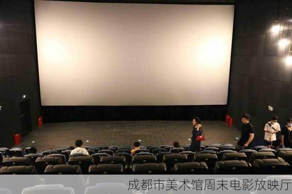 成都市美术馆周末电影放映厅