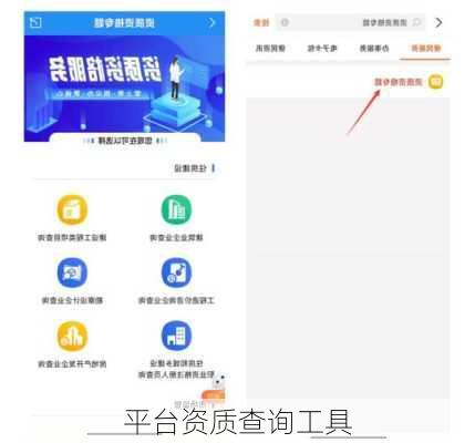 平台资质查询工具
