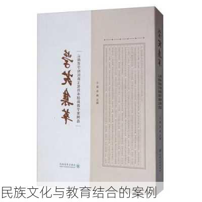 民族文化与教育结合的案例