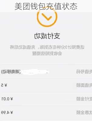 美团钱包充值状态