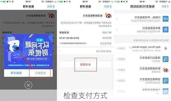 检查支付方式