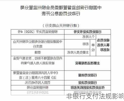 非银行支付法规影响