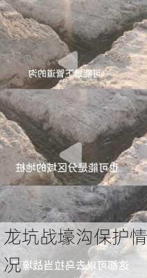 龙坑战壕沟保护情况