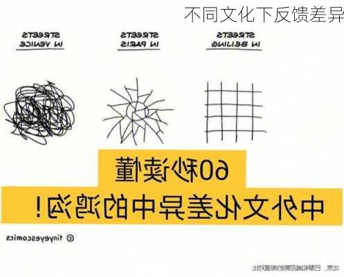 不同文化下反馈差异