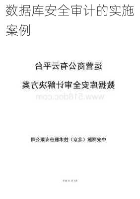数据库安全审计的实施案例