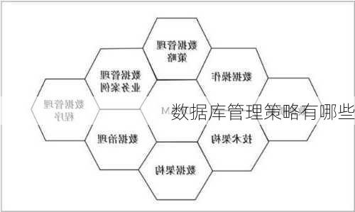 数据库管理策略有哪些