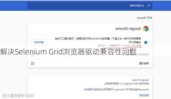 解决Selenium Grid浏览器驱动兼容性问题
