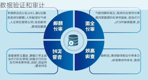数据验证和审计