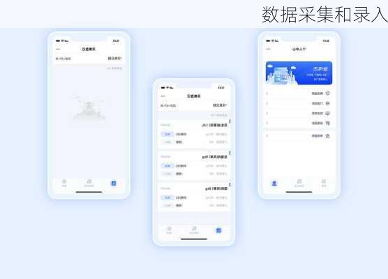 数据采集和录入