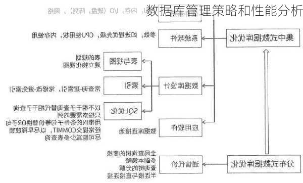 数据库管理策略和性能分析
