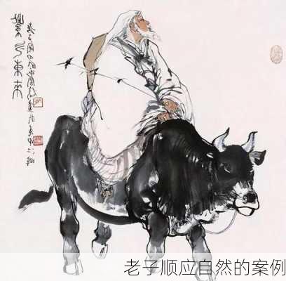 老子顺应自然的案例