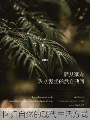 回归自然的现代生活方式