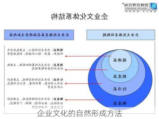 企业文化的自然形成方法
