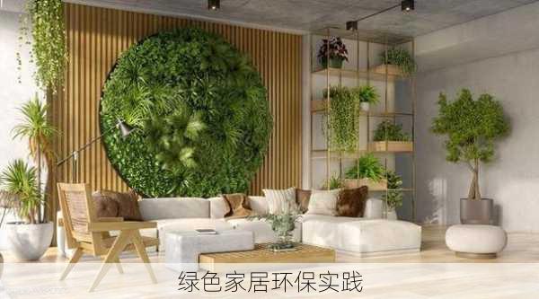 绿色家居环保实践