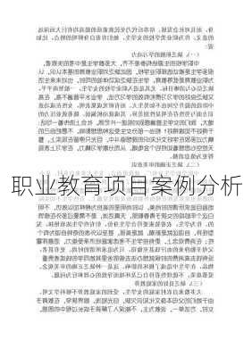 职业教育项目案例分析
