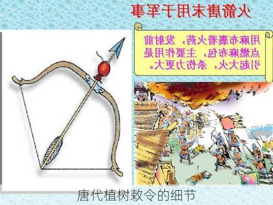 唐代植树敕令的细节
