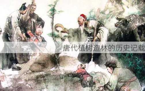 唐代植树造林的历史记载
