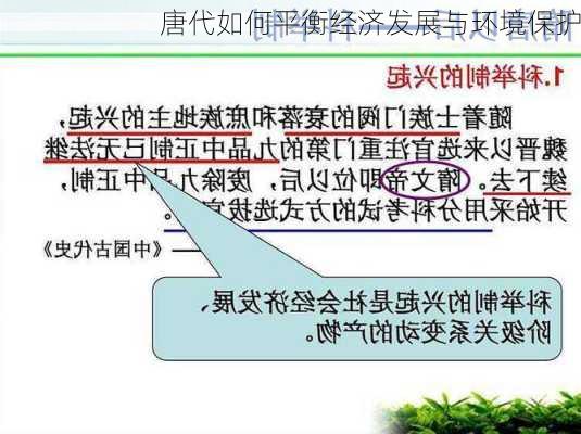 唐代如何平衡经济发展与环境保护