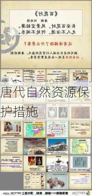 唐代自然资源保护措施