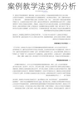 案例教学法实例分析