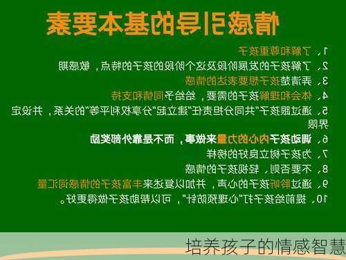 培养孩子的情感智慧