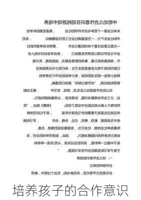 培养孩子的合作意识