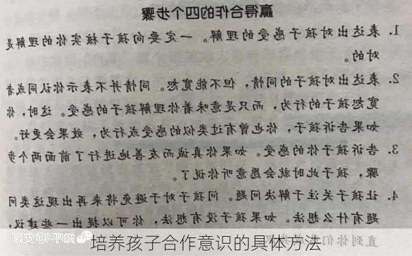 培养孩子合作意识的具体方法