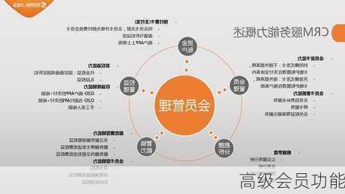高级会员功能