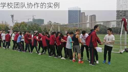 学校团队协作的实例