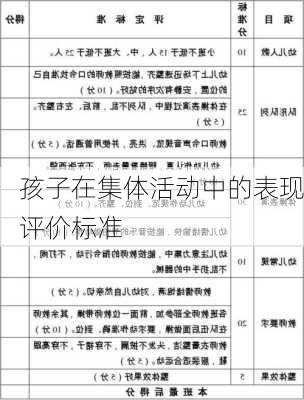 孩子在集体活动中的表现评价标准