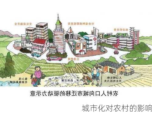 城市化对农村的影响