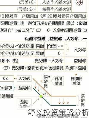 舒义投资策略分析