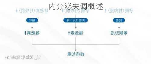 内分泌失调概述