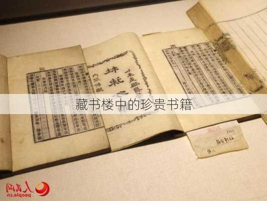 藏书楼中的珍贵书籍