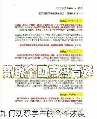 如何观察学生的合作效度