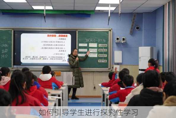 如何引导学生进行探究性学习
